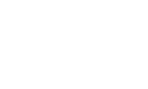 Medianest Logo